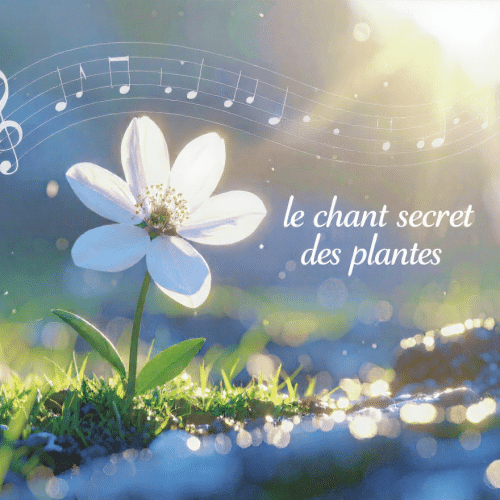 Le chant secret des plantes